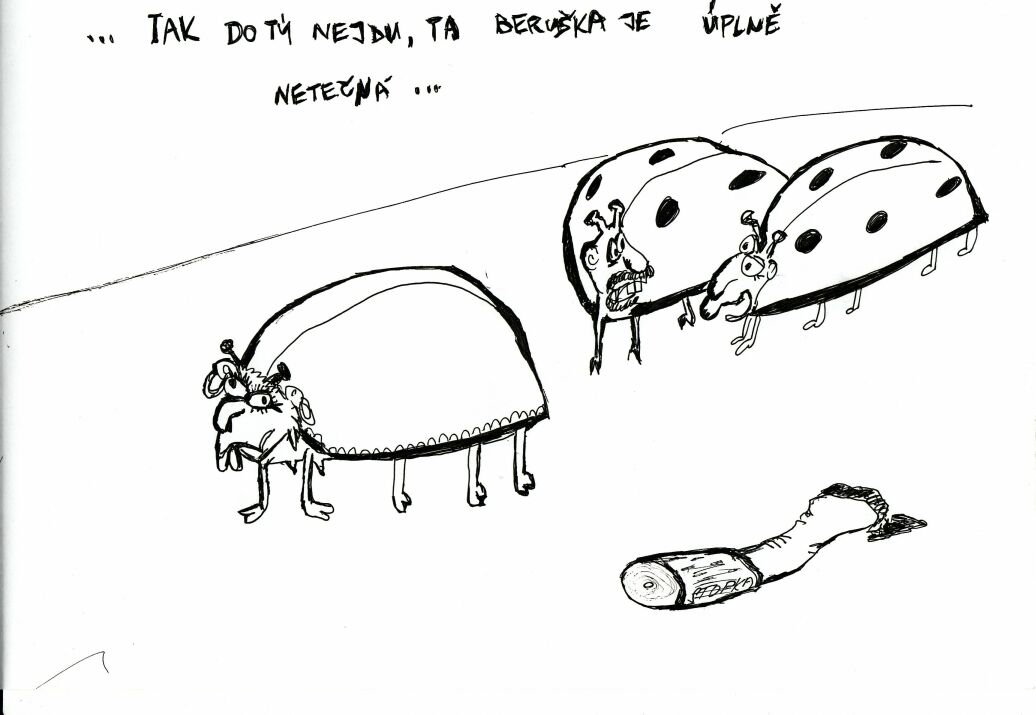 beruska.jpg