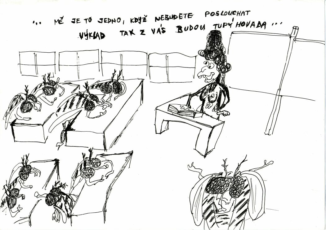 hovada.jpg